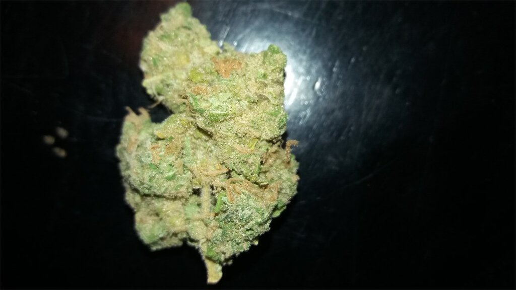 Super Skunk - 3 Samen (fem.)