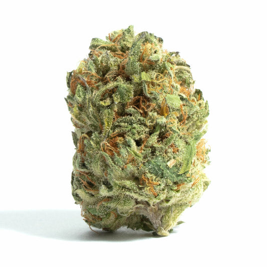 Kimbo Kush - 3 Samen (fem.)